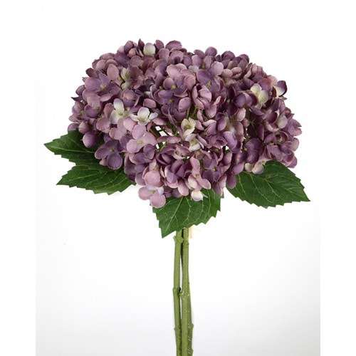 ORTANCA ALACALI MOR 34 CM