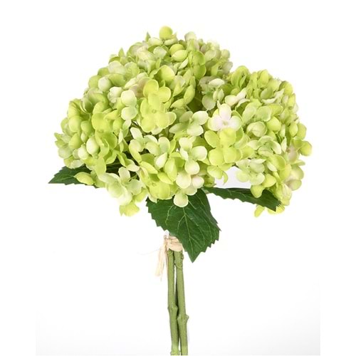 ORTANCA YEŞİL 34 CM
