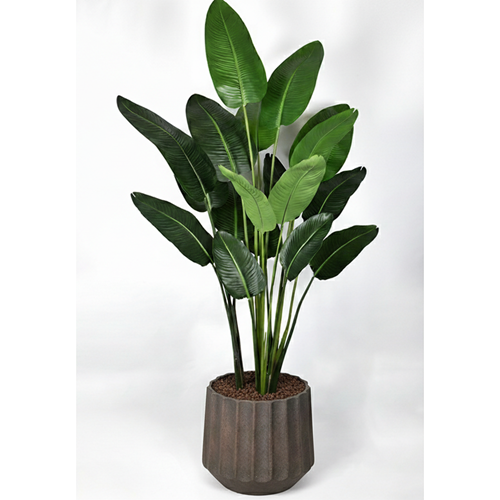 240 CM STARLİÇE 18 LVS