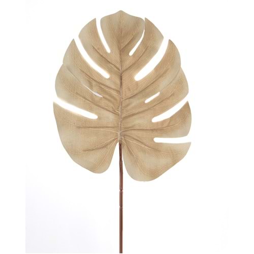 60 CM KREM DAL ÇİÇEK