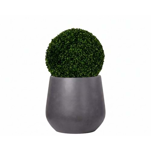 45 CM TOP ŞİMŞİR