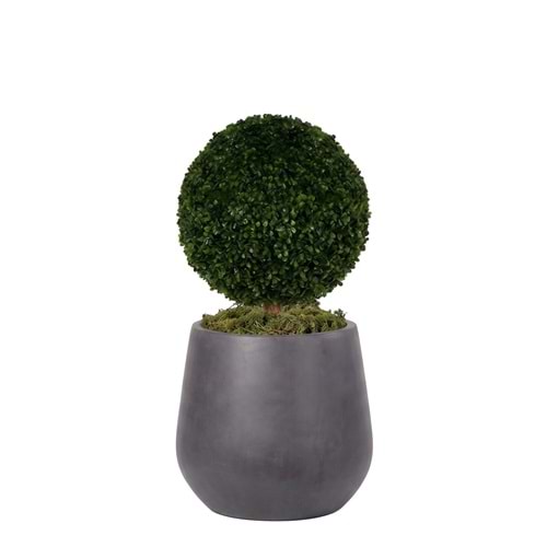 35 CM TOP ŞİMŞİR