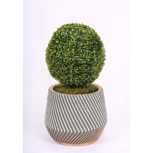 25 CM TOP ŞİMŞİR