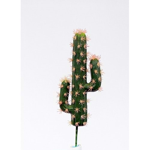 MİNİ MEXICO KAKTÜS