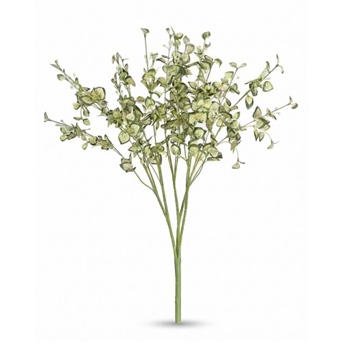 50 CM DEMET YEŞİLLİK