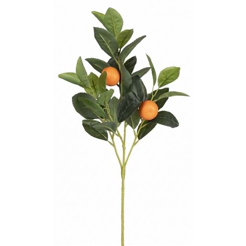 50 CM PORTAKAL DALI
