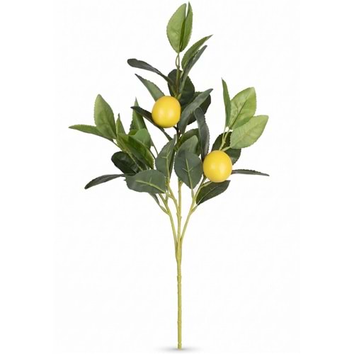 50 CM LİMON DALI
