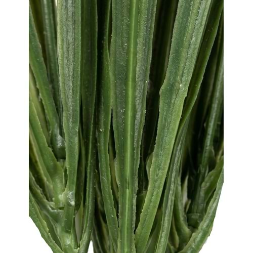 45 CM DEMET SAZLIK