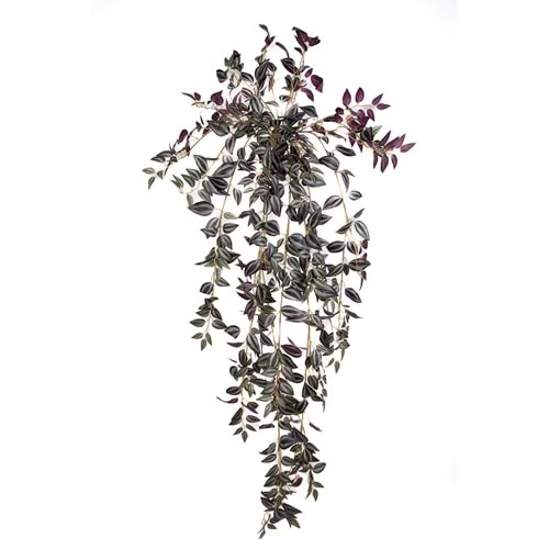 110 CM MOR TELGRAF SARMAŞIK