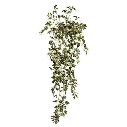110 CM TELGRAF ÇİÇEĞİ SARMAŞIK