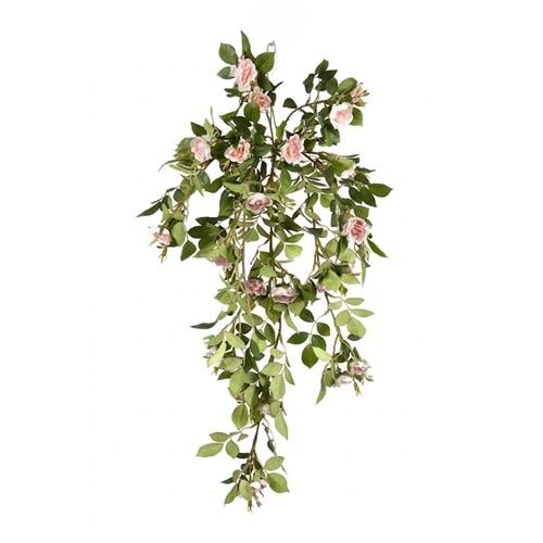 80 CM PEMBE FINDIKGÜLÜ SARMAŞIK