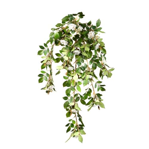 80 CM BEYAZ FINDIKGÜLÜ SARMAŞIK