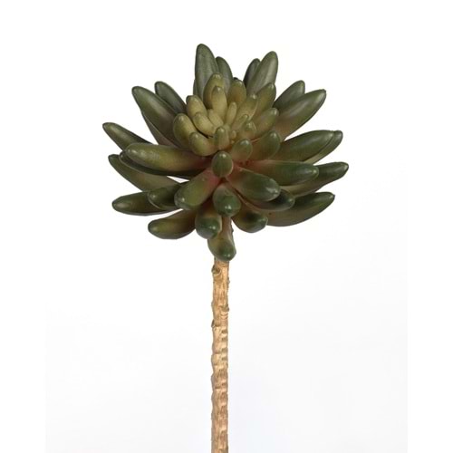 17 CM YEŞİL SUCCULENT