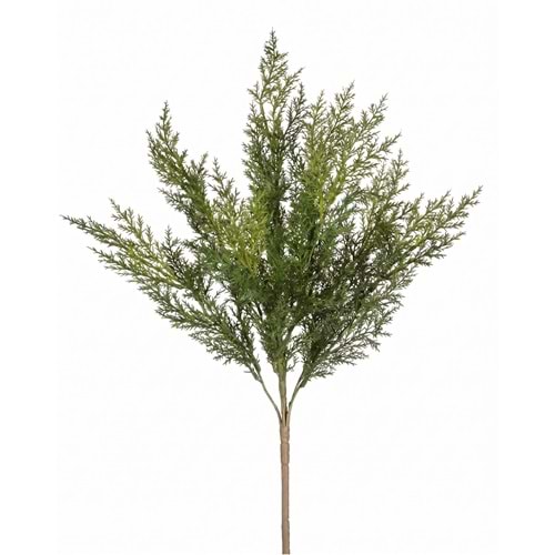 58 CM DEMET YEŞİLLİK