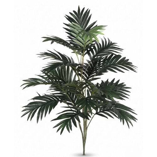 75 CM MINI ARECA