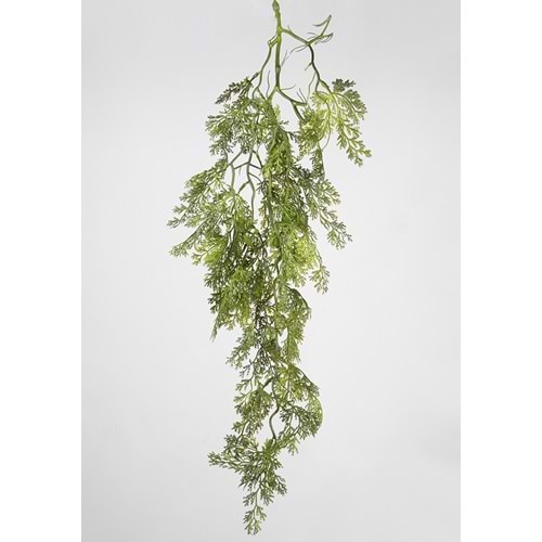 85 CM SARKAN BİTKİ