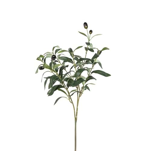 50 CM ZEYTİN DALI