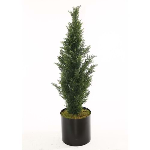 UV 120 CM CEDAR TREE