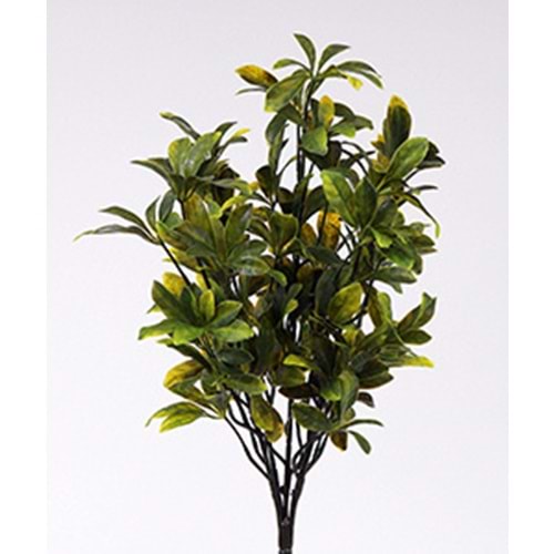 UV 52 CM PAWPAW SARI