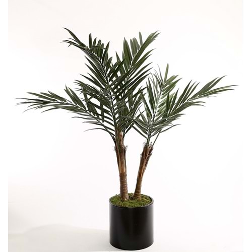 UV 180 CM KENTİA PALM