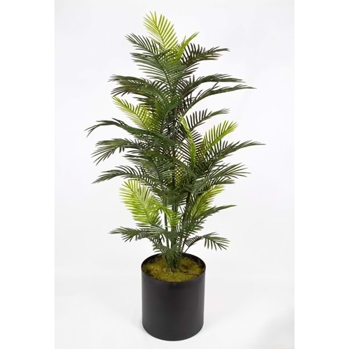 182 CM UV BIG ROBELLINI PALM