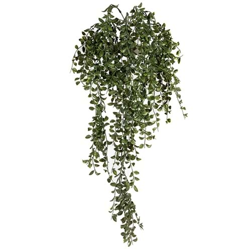 UV DAYANIMLI 86 CM GLEDITSIA