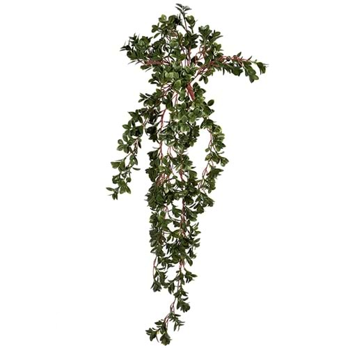 UV DAYANIMLI 88 CM NEMATANTHUS