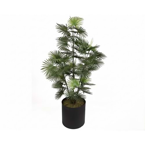 167 CM UV FAN PALM