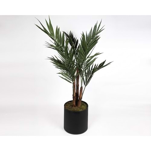 UV 213 CM KENTIA