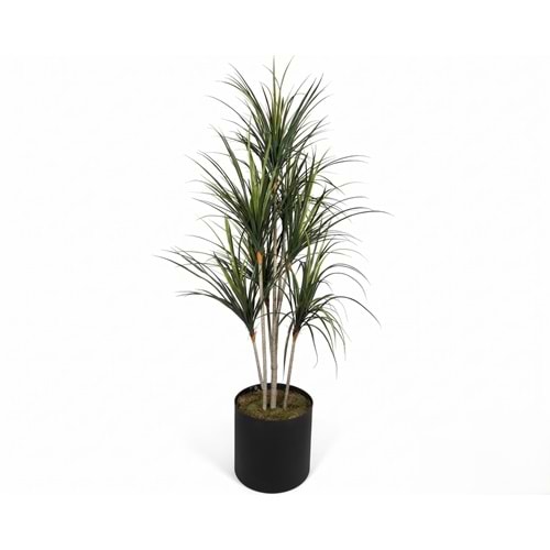 200 CM UV YUKKA