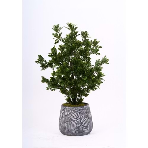 UV 78 CM TEA LEAF SPRAY