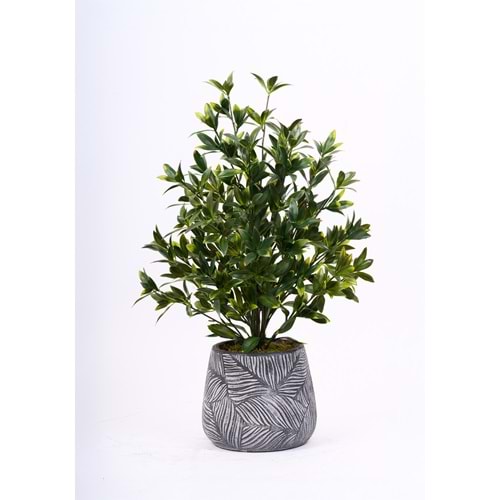78 CM UV MAGNOLIA
