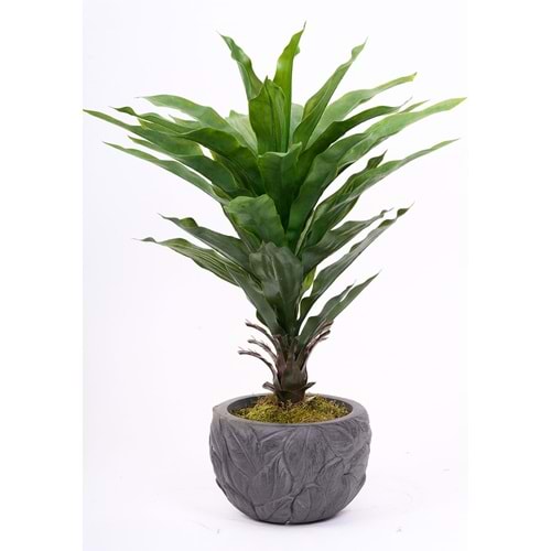 UV 76 CM AGAVE