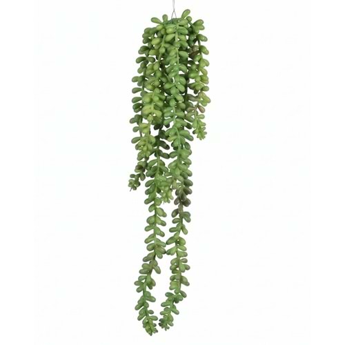 40 CM SARKAN BİTKİ