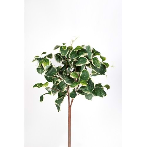 45 CM DEMET AUREUM