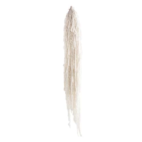 40-70 CM AMARANTHUS WHITE