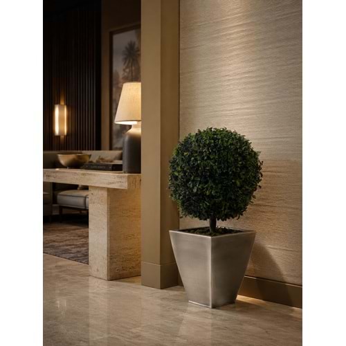 65 CM TOPIARY TENIUFOLIUM