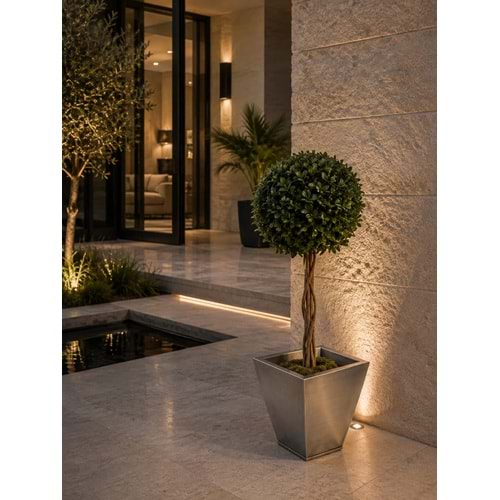 100 CM TOPIARY TENIUFOLIUM