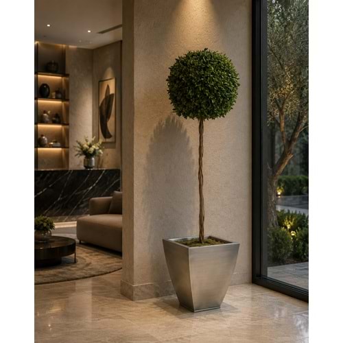 140 CM TOPIARY TENIUFOLIUM