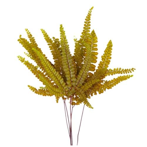 15-25 CM FERN FELCI OLIVE GREEN