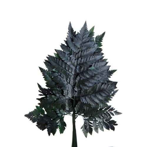 30-35 CM FERN CUERO