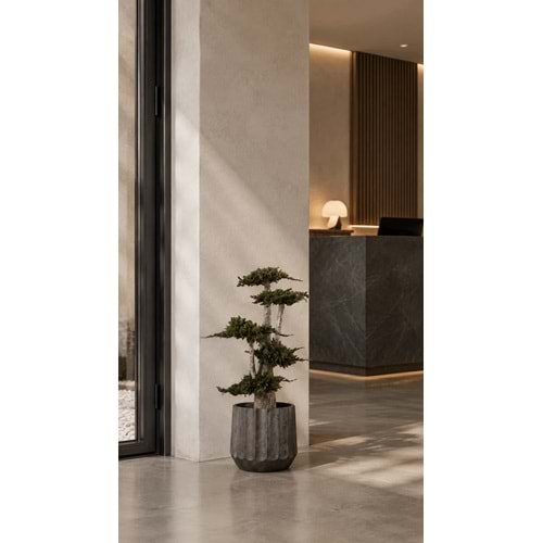 100 CM JUMBO JUNIPERUS