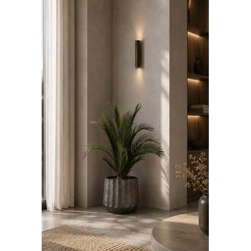 100 CM KIT PALMERA PHOENIX