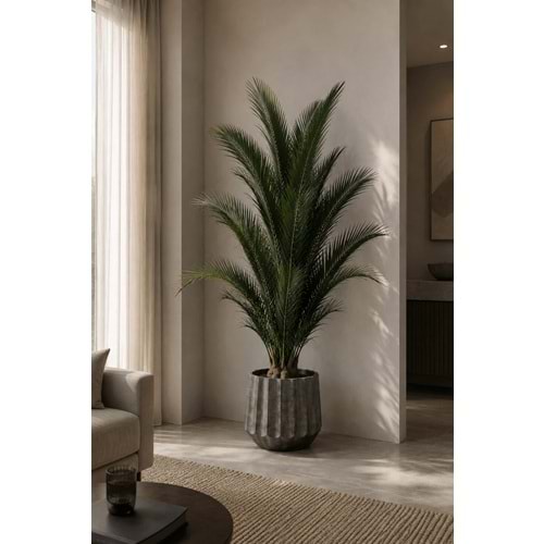 200 CM KIT PALMERA PHOENIX