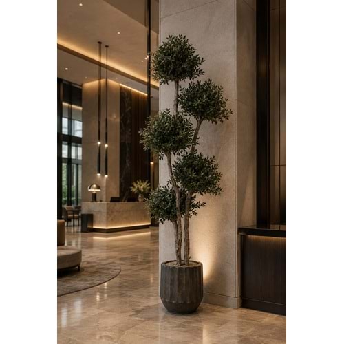 150 CM TOPIARY PARVIFOLIA