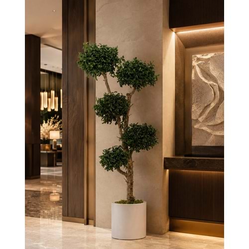 150 CM TOPIARY TENUIFOLIUM