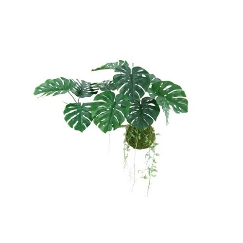 140 CM UÇAN MONSTERA