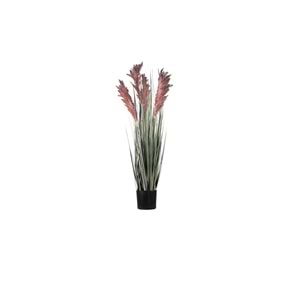 80 CM PAMPAS MOR