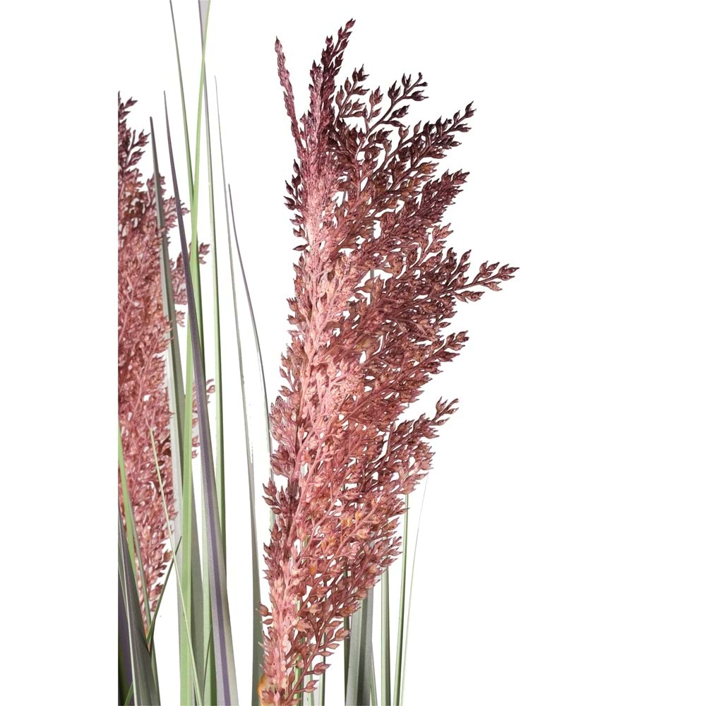 80 CM PAMPAS MOR