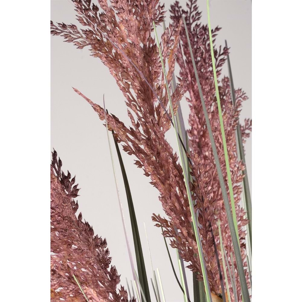 80 CM PAMPAS MOR